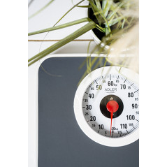 AD 8178 Badvåg - mekanisk