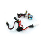 01418 HID-lampa H1 8000K xenon
