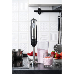 CR 4621 Handblender - mini set 2 in 1