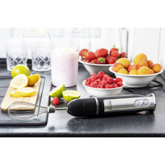 CR 4621 Handblender - mini set 2 in 1