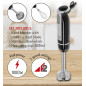 CR 4621 Handblender - mini set 2 in 1