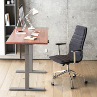 Elektriskt höj- och sänkbart skrivbord Ergo Office, grått, max höjd 123 cm, 80 kg - utan skiva, för stående och sittande arbete,