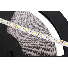 LED-remsa 25m Rebel (1500x5050 SMD) kallvit, 12V