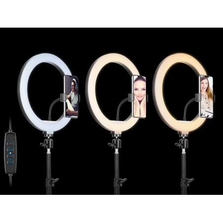 Ringlampa TRACER RING 30 cm med stativ 210 cm