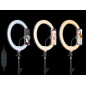 Ringlampa TRACER RING 30 cm med stativ 210 cm