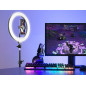 Ringlampa TRACER RING 30 cm med stativ 210 cm