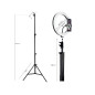 Ringlampa TRACER RING 30 cm med stativ 210 cm