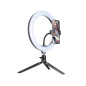 Ringlampa TRACER RING 26cm med ministorped.