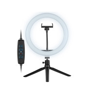 Ringlampa TRACER RING 26cm med ministorped.
