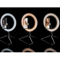Ringlampa TRACER RING 26cm med ministorped.