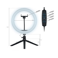 Ringlampa TRACER RING 26cm med ministorped.
