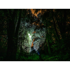 Ficklampa TRACER strålkastare 3600mAh Grön med powerbank