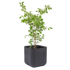 Kruka Keter Cube Wood Planter M antracit