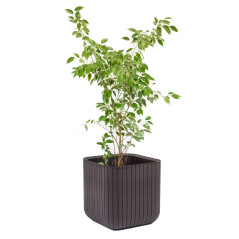 Kruka Keter Cube Wood Planter M brun