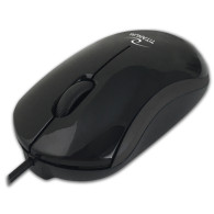 TM125K Titanum mysz przewod. 3d opt. usb-c dorado