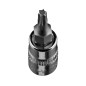 Spetsen TORX TX15 på en 1/4-tums hylsa, kort, 37 mm