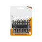 67-042- Set med dubbeländade bits, 10 stycken
