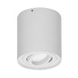 CAROLIN DLR GU10 downlight max 7W, IP20, rund, vit
