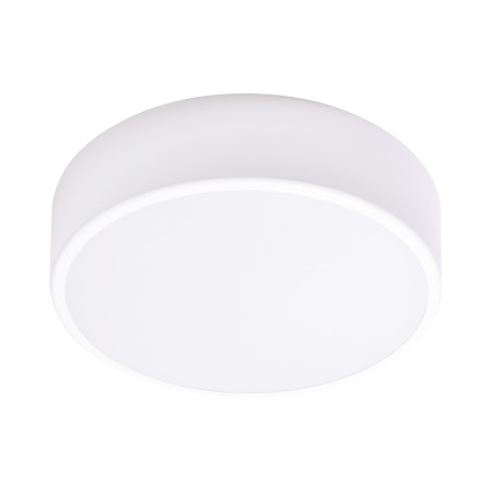 Denna taklampa har 2xE27, 2x24W, vit stål, matt glas skärm, IP20, ? 300. | HandlaSmidigt.se