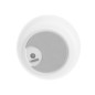 Nattlampa LED - katt