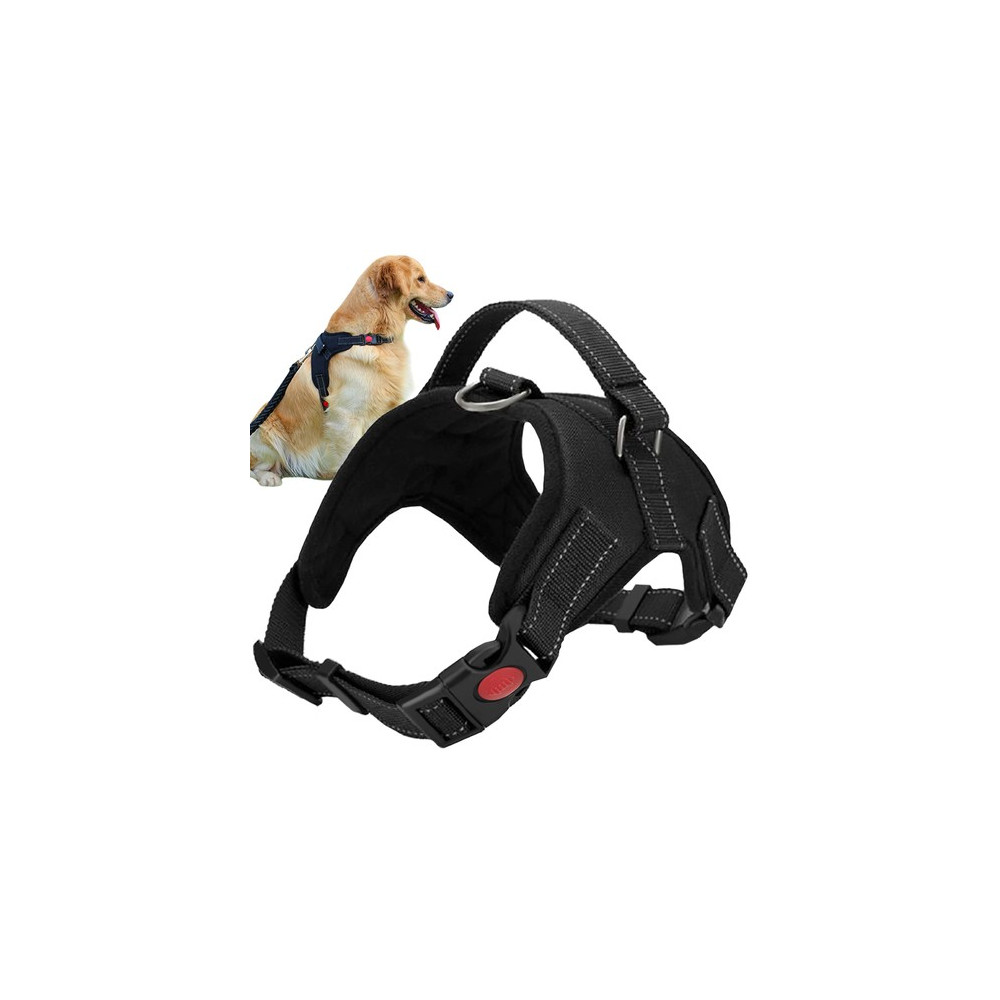 Selelösa koppel för hund M