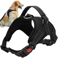 Selelösa koppel för hund M