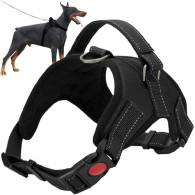 Selel utan tryck för hund L