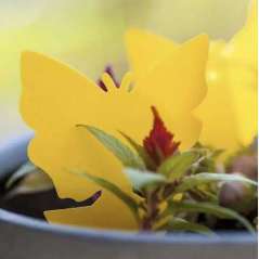 Klistra på insekter - 12 st. Återbeställ 19053.