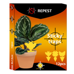 Klistra på insekter - 12 st. Återbeställ 19053.