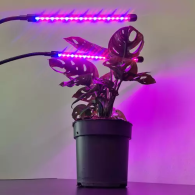 Lampa 20 LED 2 st. för växttillväxt Gardlov 19241