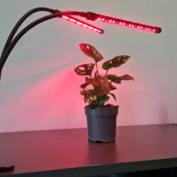 Lampa 20 LED 2 st. för växttillväxt Gardlov 19241