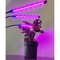 Lampa 20 LED 3 st. för växttillväxt Gardlov 19242