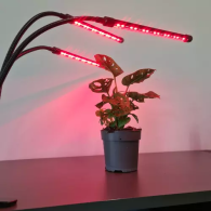 Lampa 20 LED 3 st. för växttillväxt Gardlov 19242