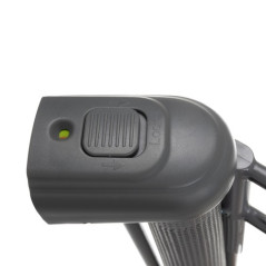 Skyddsgaller till Ruhhy dörr 19381