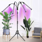 Lampa 20 LED 4 st. för växttillväxt Gardlov 19388