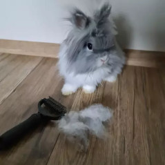 Trimmer/ kam till päls Purlov 20427