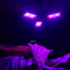 Lampa 108 LED för växttillväxt Gardlov 20440