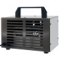 Ozongenerator Bigstren 21208