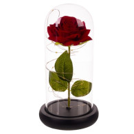 Ros i glas - lysande Malatec 21619