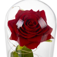 Ros i glas - lysande Malatec 21619