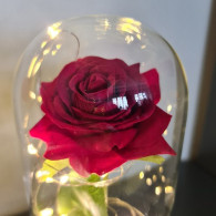Ros i glas - lysande Malatec 21619