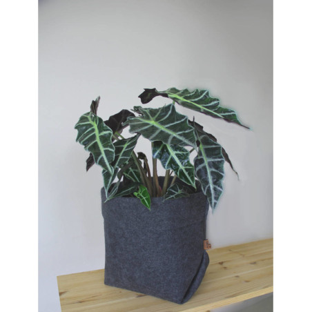 BERTONI EE Krukaöverdrag Simple XXL - 30 cm