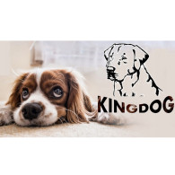 Hundbädd 145 x 115 Grön KingDog