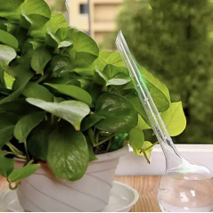 Kylsprutor - 8 st. Gardlov 21043