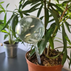 Kylsprutor - 8 st. Gardlov 21043