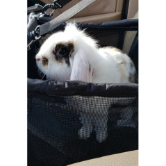 Transportbur för hund på säte Purlov 20973