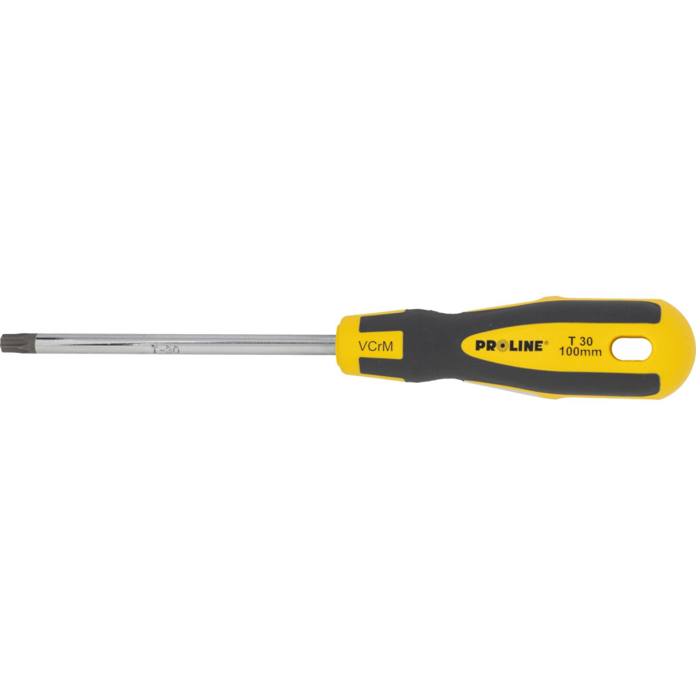 10195 Wkrętak torx security T30 10195 Wkrętak torx security T30