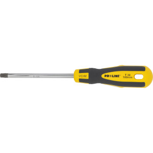 10195 Wkrętak torx security T30 