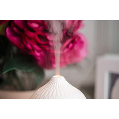 CR 7970 Ultraljud doftdiffusor 3-i-1