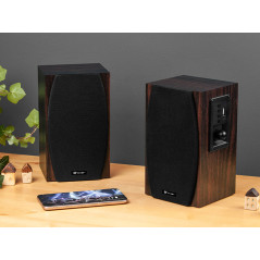 Högtalare TRACER 2.0 Charleston 2.0 BT